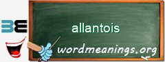 WordMeaning blackboard for allantois